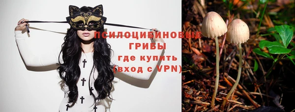 прущие крисы Богородицк