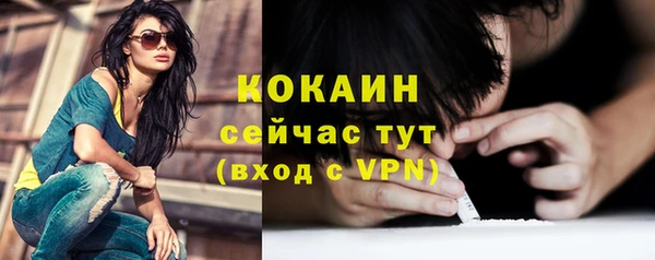 тгк Богданович