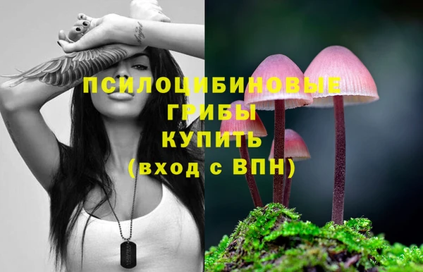 прущие крисы Богородицк