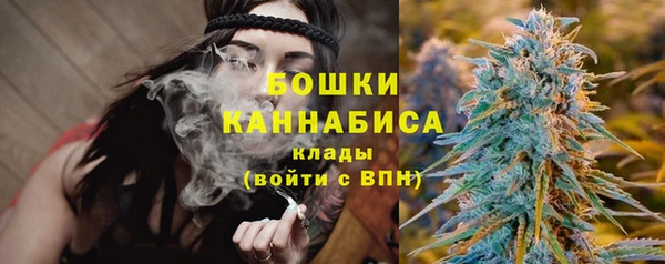 дмт Богородск
