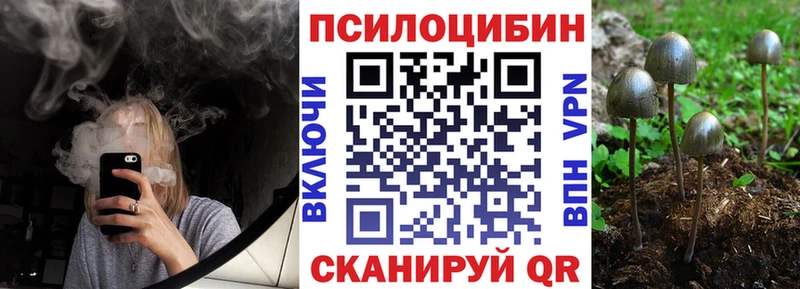 Псилоцибиновые грибы Cubensis сколько стоит Вихоревка