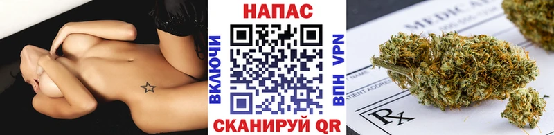хочу наркоту  Вихоревка  Канабис планчик 